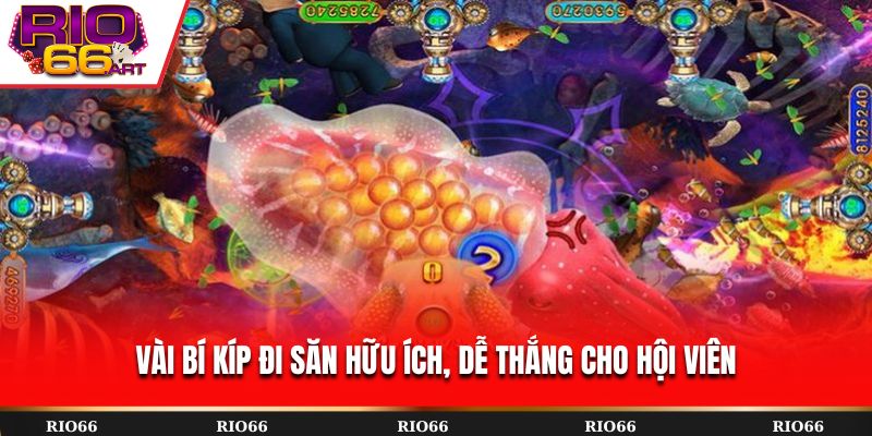 Vài bí kíp đi săn hữu ích, dễ thắng cho hội viên
