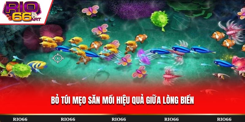 Bỏ túi mẹo săn mồi hiệu quả giữa lòng biển