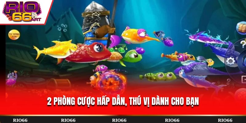 2 phòng cược hấp dẫn, thú vị dành cho bạn