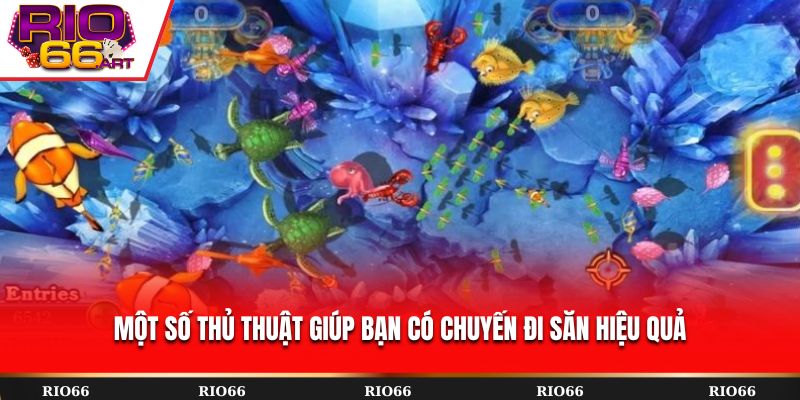 Một số thủ thuật giúp bạn có chuyến đi săn hiệu quả