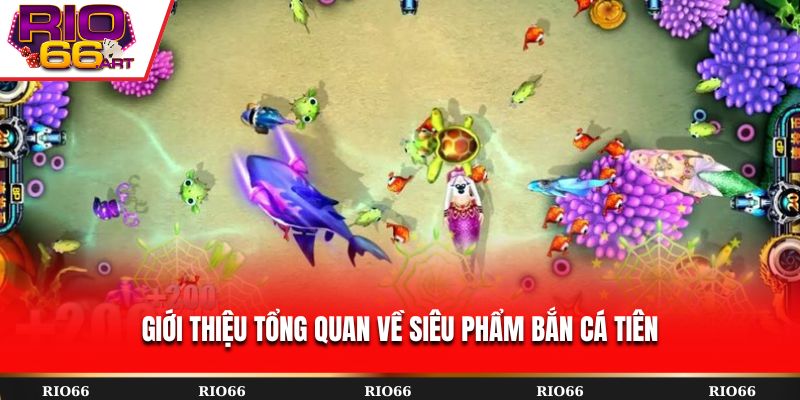 Giới thiệu tổng quan về siêu phẩm Bắn Cá Tiên