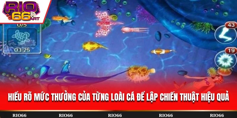 Hiểu rõ mức thưởng của từng loài cá để lập chiến thuật hiệu quả