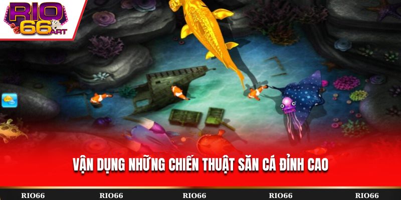 Vận dụng những chiến thuật săn cá đỉnh cao