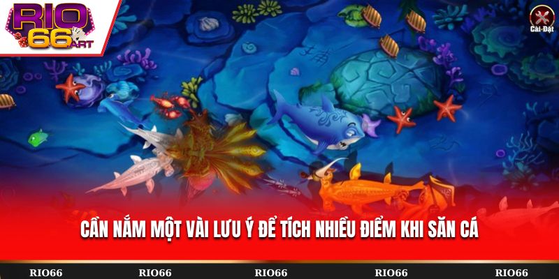 Cần nắm một vài lưu ý để tích nhiều điểm khi săn cá