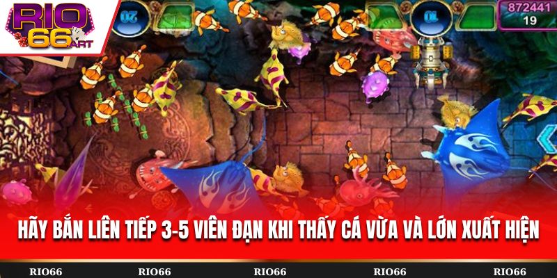 Hãy bắn liên tiếp 3-5 viên đạn khi thấy cá vừa và lớn xuất hiện