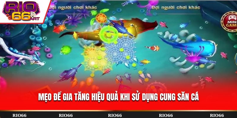Mẹo để gia tăng hiệu quả khi sử dụng cung săn cá