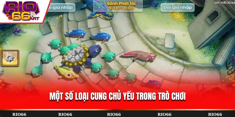 Một số loại cung chủ yếu trong trò chơi