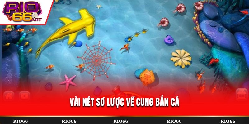 Vài nét sơ lược về cung bắn cá